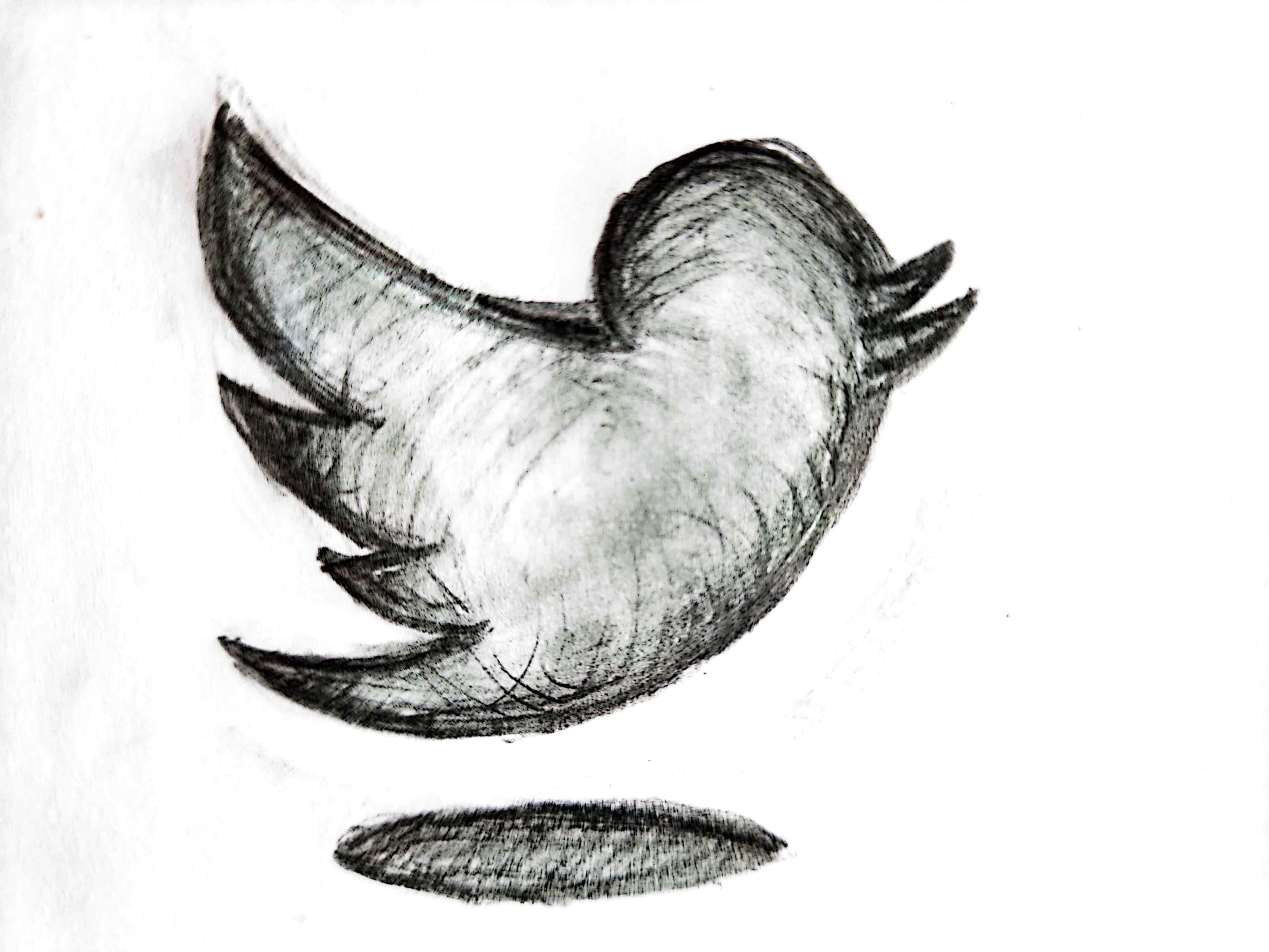 twitter button shadow